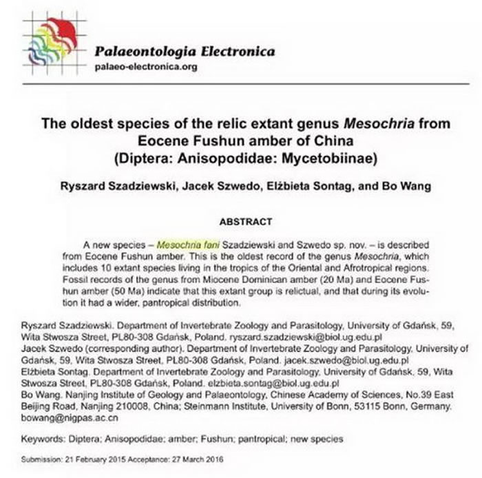 抚顺琥珀中发现新物种“范氏中殊蠓”