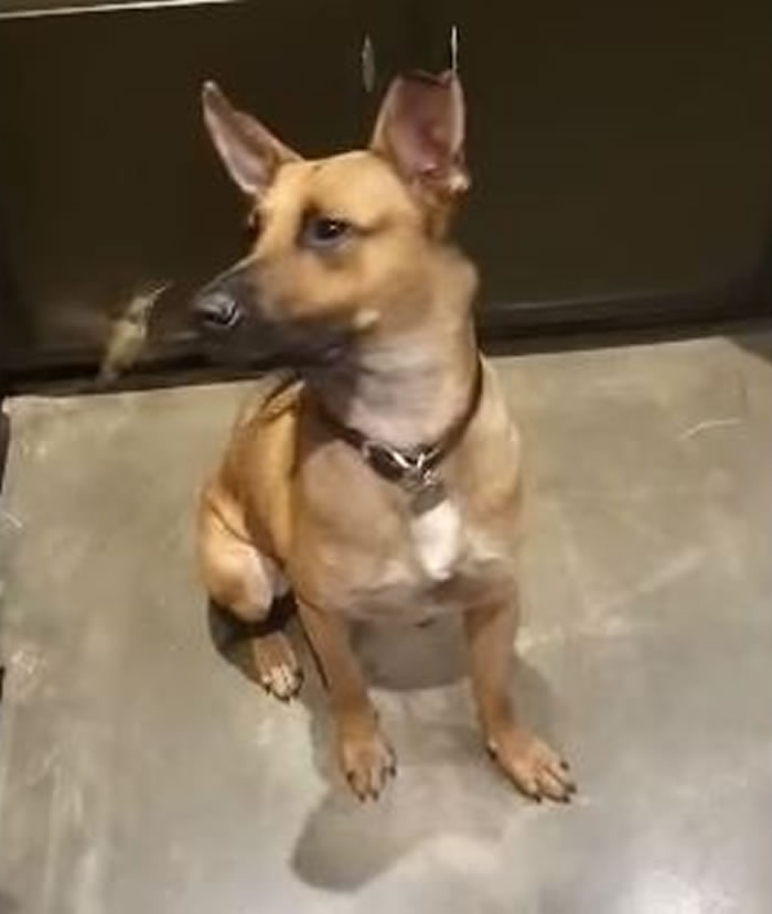 �������ֵ¹�����ȮҪ���˽�����С����Ȼؼ� ���ڳ��˺�����