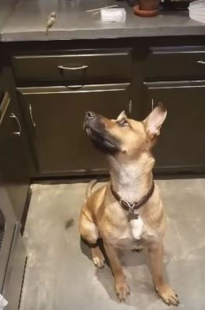 �������ֵ¹�����ȮҪ���˽�����С����Ȼؼ� ���ڳ��˺�����