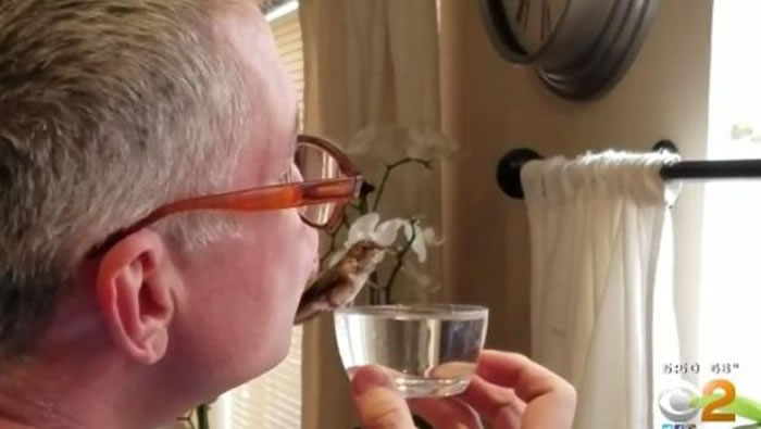 �������ֵ¹�����ȮҪ���˽�����С����Ȼؼ� ���ڳ��˺�����