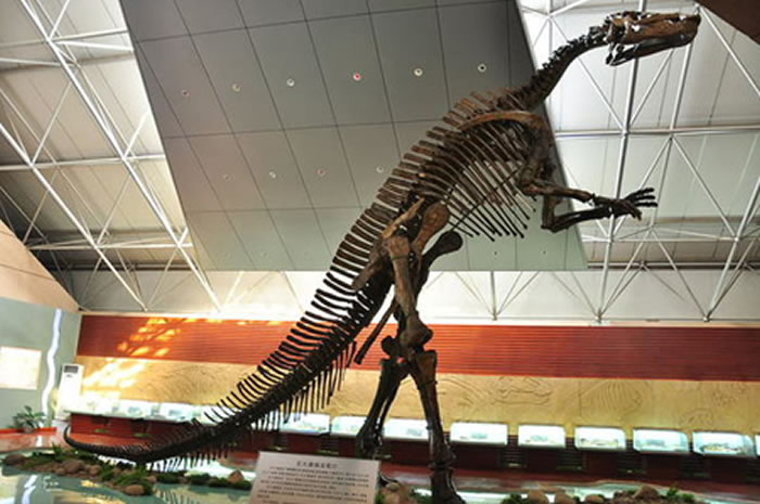 Ӣ˹ߴѼǼܡ¼֤֤й޴