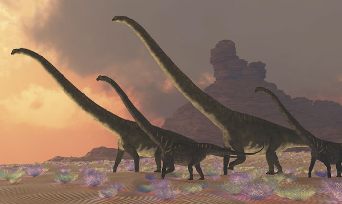 Ӣ���о���Ա���á��������ۡ���ʾ���������������ŷ����������������Ǩ��״��