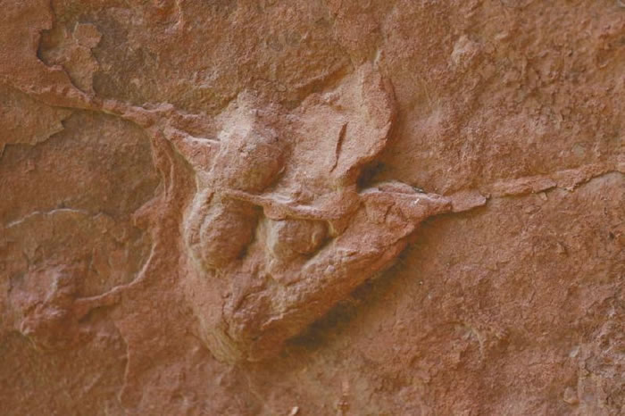 ���������Ŀ����㼣