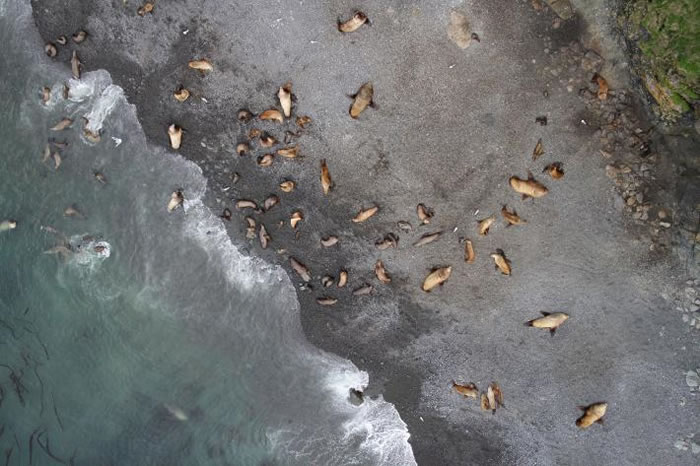 ˹Ӱͼϣһ̨APH-22˻60ߵĸ߿в׽ʨȺܡЩӣһɻ޷е飬ҵ־