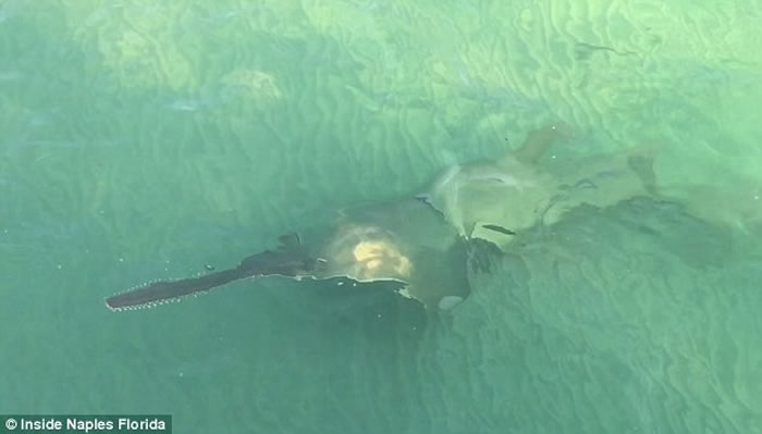 ���������������������Σ�γݾ��� ���˳��ֽ��