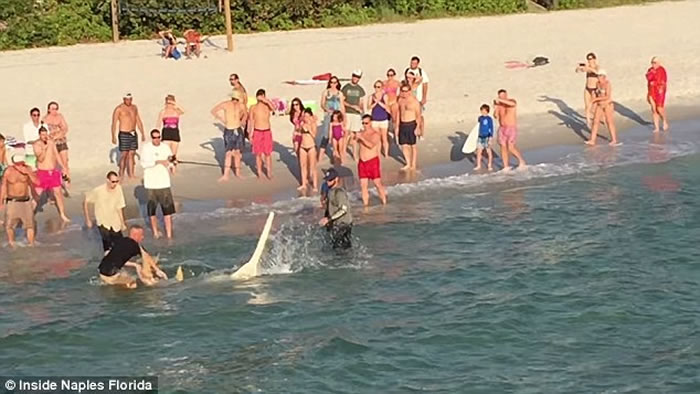 ���������������������Σ�γݾ��� ���˳��ֽ��