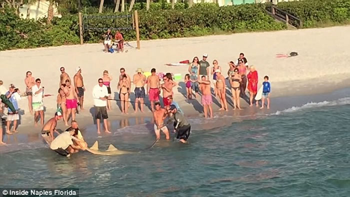 ���������������������Σ�γݾ��� ���˳��ֽ��