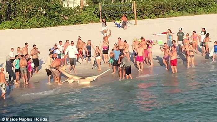 ���������������������Σ�γݾ��� ���˳��ֽ��