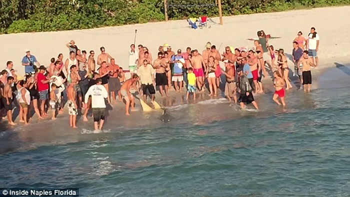 ���������������������Σ�γݾ��� ���˳��ֽ��