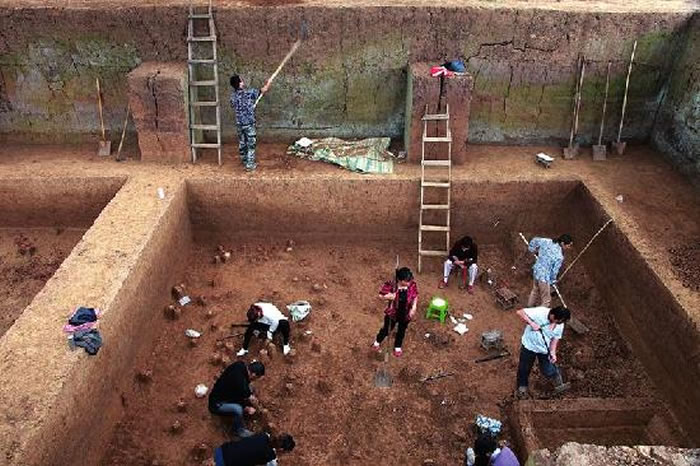 龙岗寺遗址第三级阶地发掘现场