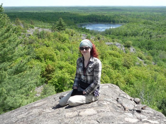 最新研究表明彗星和陨石为地球生命带来所需的能量和有机物,陨石坑成生命生长温床