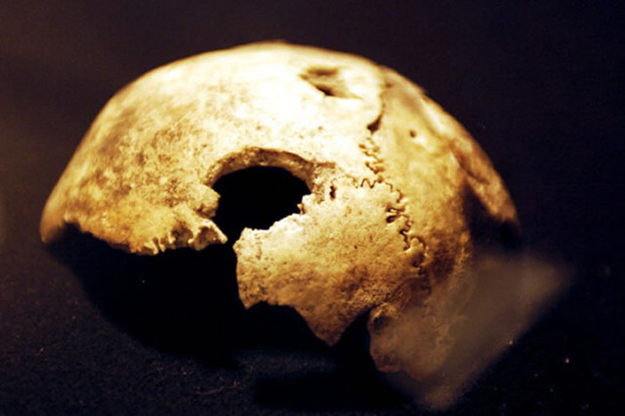 ��ȥ��������ѧ��Ҫ�������ӡ���ٯ��ϣ����