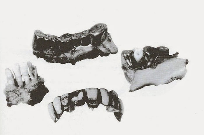 ��ȥ��������ѧ��Ҫ�������ӡ���ٯ��ϣ����