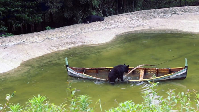 ���ܽ���Ū������󷭳����⡣