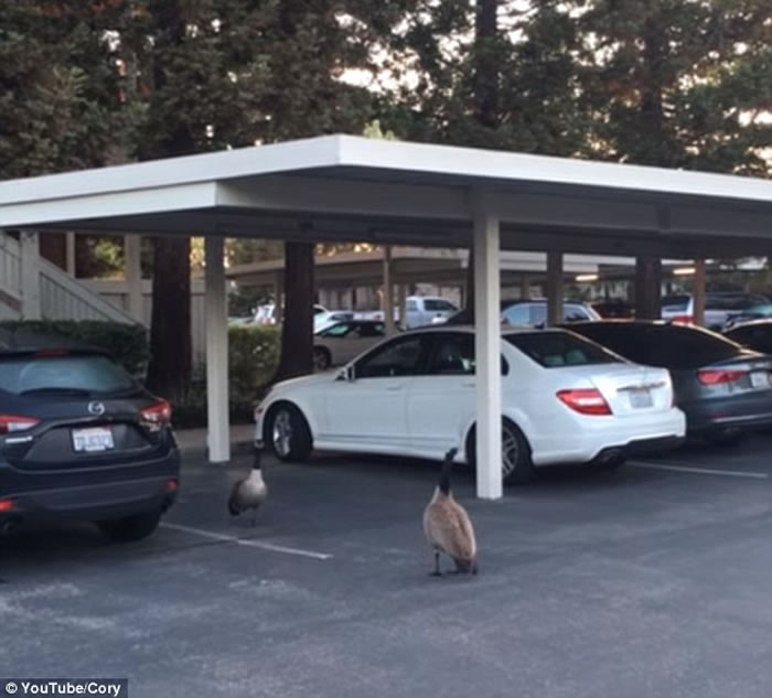 ��������һ�Զ������������ͺ�������7С�조������¥��