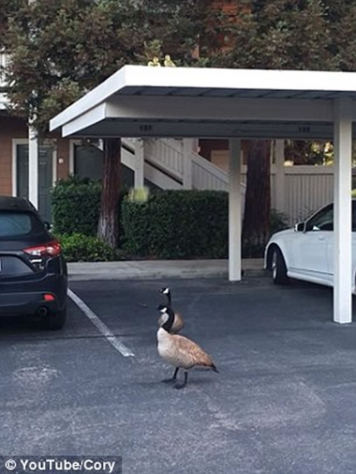 ��������һ�Զ������������ͺ�������7С�조������¥��