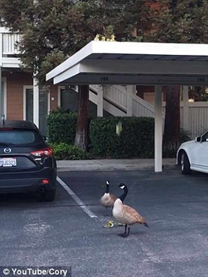 ��������һ�Զ������������ͺ�������7С�조������¥��