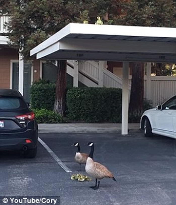 ��������һ�Զ������������ͺ�������7С�조������¥��