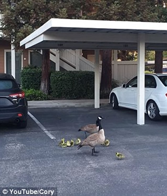 ��������һ�Զ������������ͺ�������7С�조������¥��