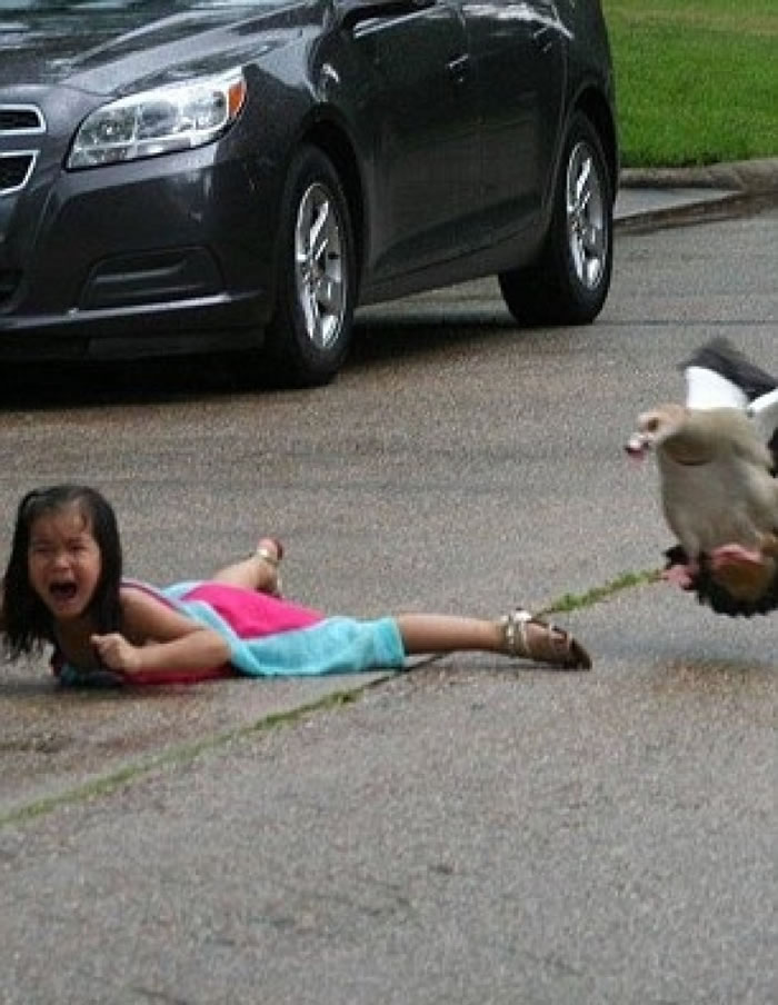 吉登大喊救命。