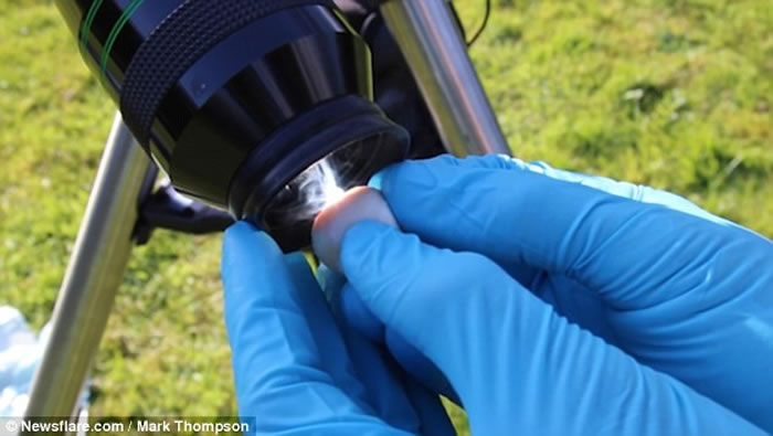 ֱͨԶ̫ʲôӢѧMark Thompsonʵ