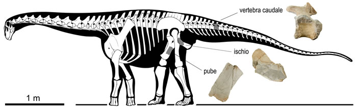 �����������ŷ����ϵ���������