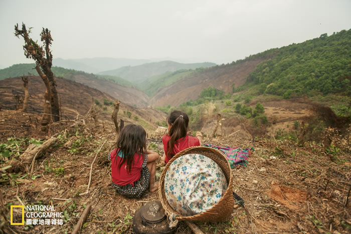 �������϶����ҹ�԰���࣬������λСŮ������ɽͷ����Ϣ��弹����ڵ�ľ�Ĺ�˾��������й���½����ľ�������й��ƳɼҾߣ����±����������ɭ�ֱ����������� Photog