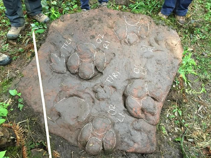 �����ع���ʯ�������ִ���������㼣��ȫ��������㼣����Ϊ���������������㼣��