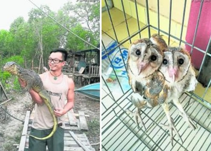 ͼȲͬޡͼΪȹèͷӥ