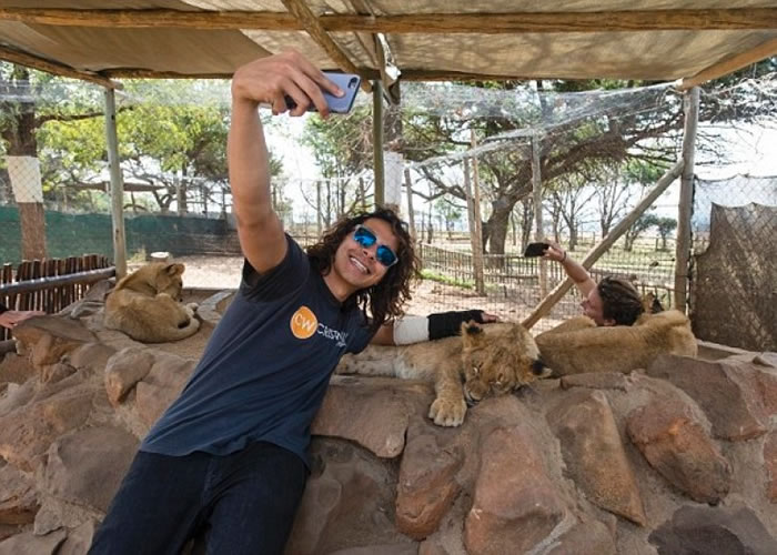 不少游客爱与幼狮合照。