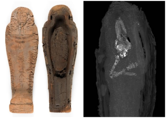 ͸�����Զϲ�ɨ�裬�ɼ���ľ�е���̥ľ������