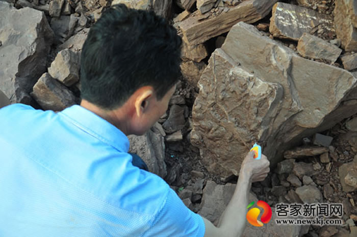 江西境内首次发现恐龙脚印化石?