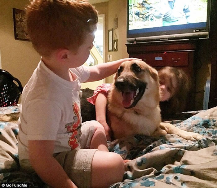 ����һֻ�¹�����ȮΪ����С���˲�ϧ����β�߲���