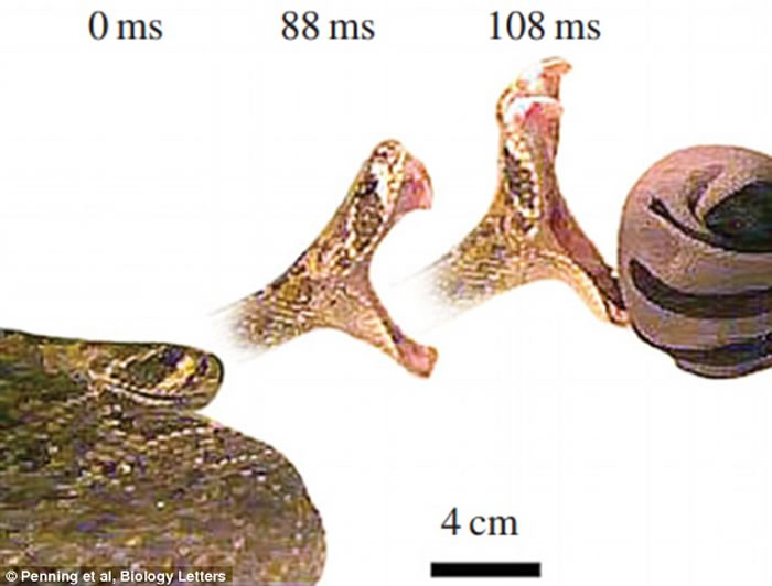 ෢𹥻ٶ൱ գ۹ִ̾4ι
