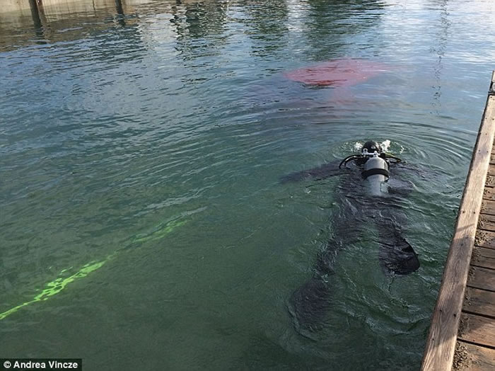 ���ô�Ů�ӿ���ʹ��GPS���� û�뵽�����������������