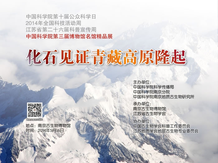 ϾﲩƳġʯ֤ظԭ¡չٻʮչн