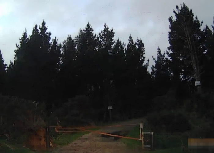 �ݳ��ߵִ�ԭӦ���ɳ���������������ּ�����һ��������