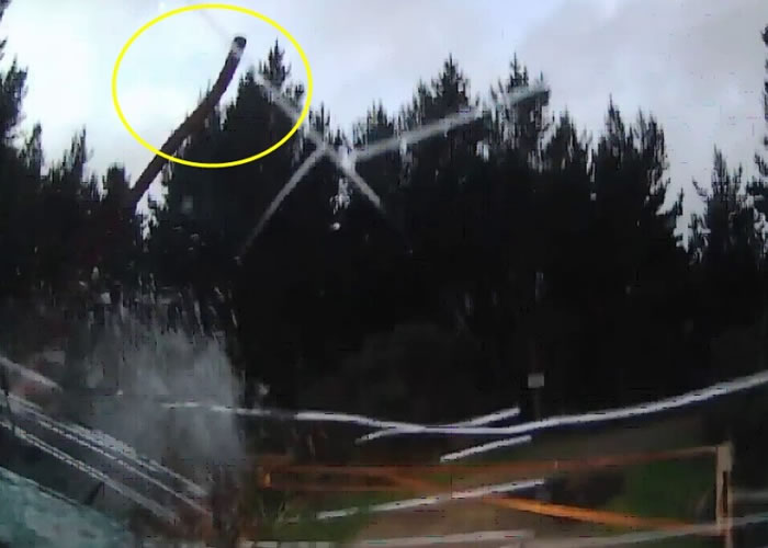 ��ͷ����ͻȻ�������ʣ���Ȧ���ػ����粣����