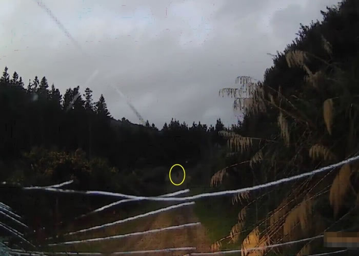 �ݳ��ߵ���ʱ����ͷ���ӣ���Ȧ������׷������