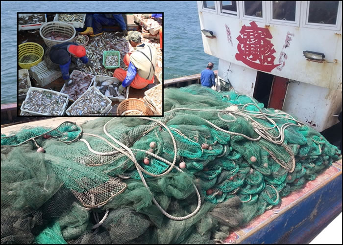 йִԱڻƺ洬ʹáʽ㡣