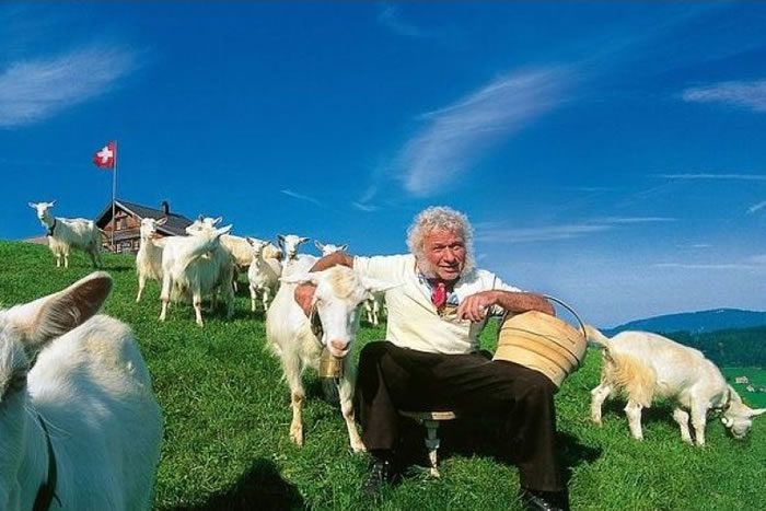 ��������ʿ��Ԥ����٣�Ϊ81.3�ꡣ