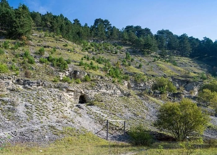 Լ˹ɽȣͼǶսɴԭӵʵ鳡ڡ