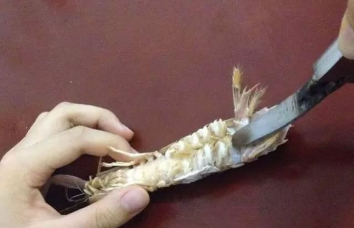 ֻҪǯ촩ϺβͣѹǯͿɽǷ롣