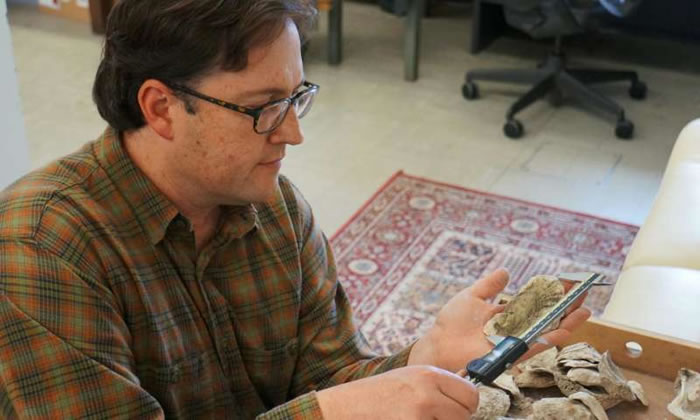 史前美洲原住民渔场可能为可持续的牡蛎捕捞提供一张蓝图