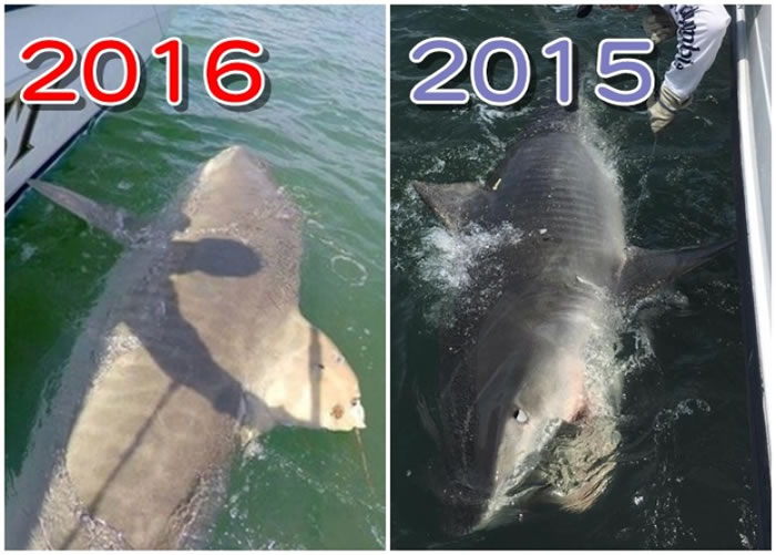 �����Ͽ������������������������ͬһ�������ͻ���