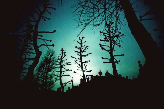 �������ո���Forest GroveС��������ع��� �������ܺ�ͻȻ��ʧ