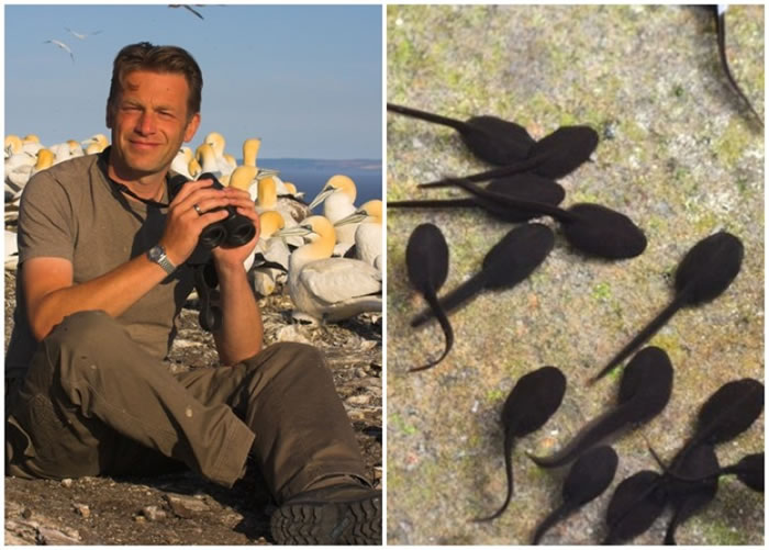 ���˺�ķ����ͼ������ҳ��ú��ӳ���򽣨��ͼ�����������˽������ļ�ֵ��