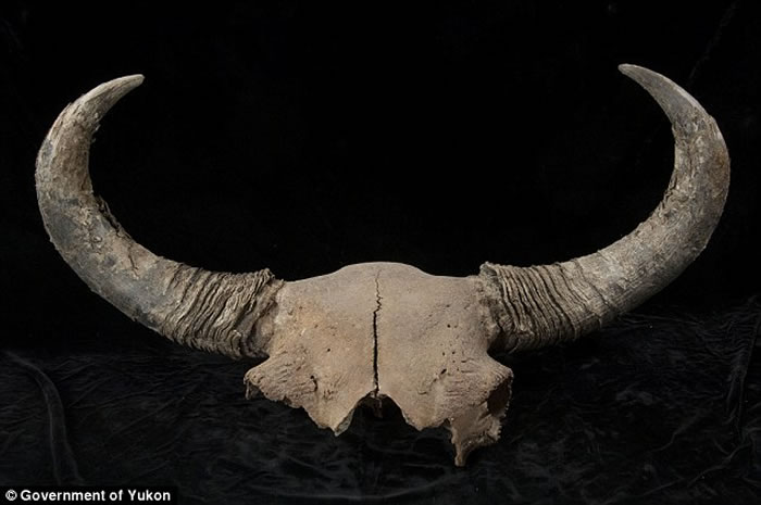 ͨ�������ޱ����ȵ������ʷǰҰţ�˶�