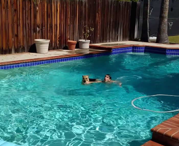 �¹�����Ȯ��Ϊ�������� ������Ӿ�ذ��������ϰ�