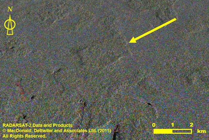 �Ӷ�������������λ������Ѱ���ܵ����ų�����ַ����������������Ƭ���ҵ���һ��������Ľ�������Ҫȷ������֣������Ҫ�ڵ�����е��顣 IMAGE COURTESY